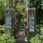Jardin partagé |