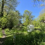 Jardin partagé | Culture