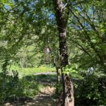Jardin partagé | potager